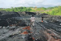 LEKAD Pertanyakan Alasan Kejati Bengkulu Belum Usut Tambang PT Injatama