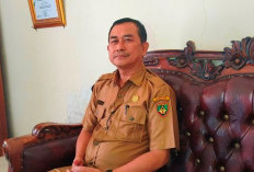 Kebutuhan Daging Kurban di Bengkulu Selatan Aman, Bisa Dijual Keluar Daerah