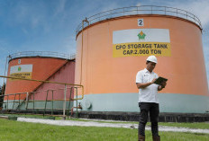 Pengusaha Sawit dan Batu Bara RI Raup Untung Besar