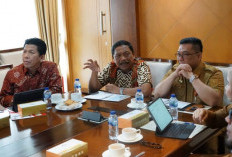 Pemprov Bengkulu Perkuat Strategi PAD Sektor Sawit dan Migas