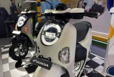 Tren Skutik Retro yang Semakin Digemari, Honda Scoopy Menduduki Posisi Puncak