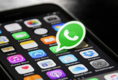 Kabar Gembira, WhatsApp Tambah Fitur Baru