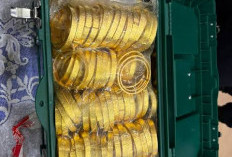 Bea Cukai Ungkap Penyelundupan 190 Kg Emas, Negara Terancam Rugi Triliunan Rupiah