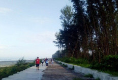 Pantai Pasir Putih Bengkulu Disulap Menjadi Area Jogging Track yang Representatif 