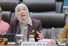 Erna Sari Dewi Pindah Komisi V DPR RI, Perjuangkan Infrastruktur dan Penerbangan Bengkulu