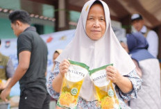 Pasokan Minyak Goreng Aman, Harga MinyaKita Turun Jadi Rp 15.961 per Liter