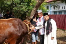 Idul Adha, Masjid Agung Al-Taqwa Bengkulu Siapkan Program Makan Bersama Anak Yatim