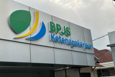 Bekerja  jadi Lebih Tenang, Pemkot Bengkulu Siapkan Jaminan Sosial Bagi Sopir Pengangkut Sampah