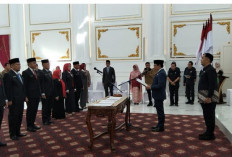 Istri Anggota Dewan Dilantik Menjadi Kepala Dinas Sosial Kota Bengkulu 