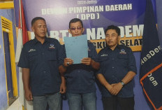 Juli Hartono: NasDem Senantiasa Menjunjung Tinggi dan Menghormati Kebebasan Pers