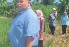 Tinjau Tebat Baghu yang Kekeringan, Bupati Bengkulu Selatan  Segera Lakukan Revitalisasi 