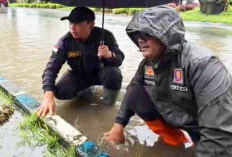 Drainase Tersumbat Sampah, Walikota Bengkulu Terpaksa Turun Tangan Membersihkannya 