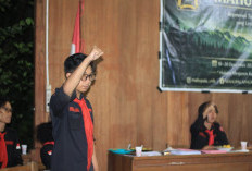 Pasca Dua Gajah dan Satu Harimau Mati di Bentang Alam Seblat, Ketua Umum MAHUPALA UNIB Minta APH Usut 