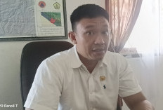 BPBD Bengkulu Selatan Sudah Usulkan Perbaikan  Jalan Provinsi, Saat Ini Belum Ada Tindakan Nyata