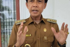 Bupati Kaur Minta Penanganan Seadil-adilnya Kasus Pemerkosaan Anak oleh Ayah Tiri di Muara Sahung